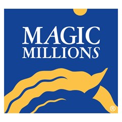 Logo for 20240315 QRC Web MS Logo Magicmillions 600X600px